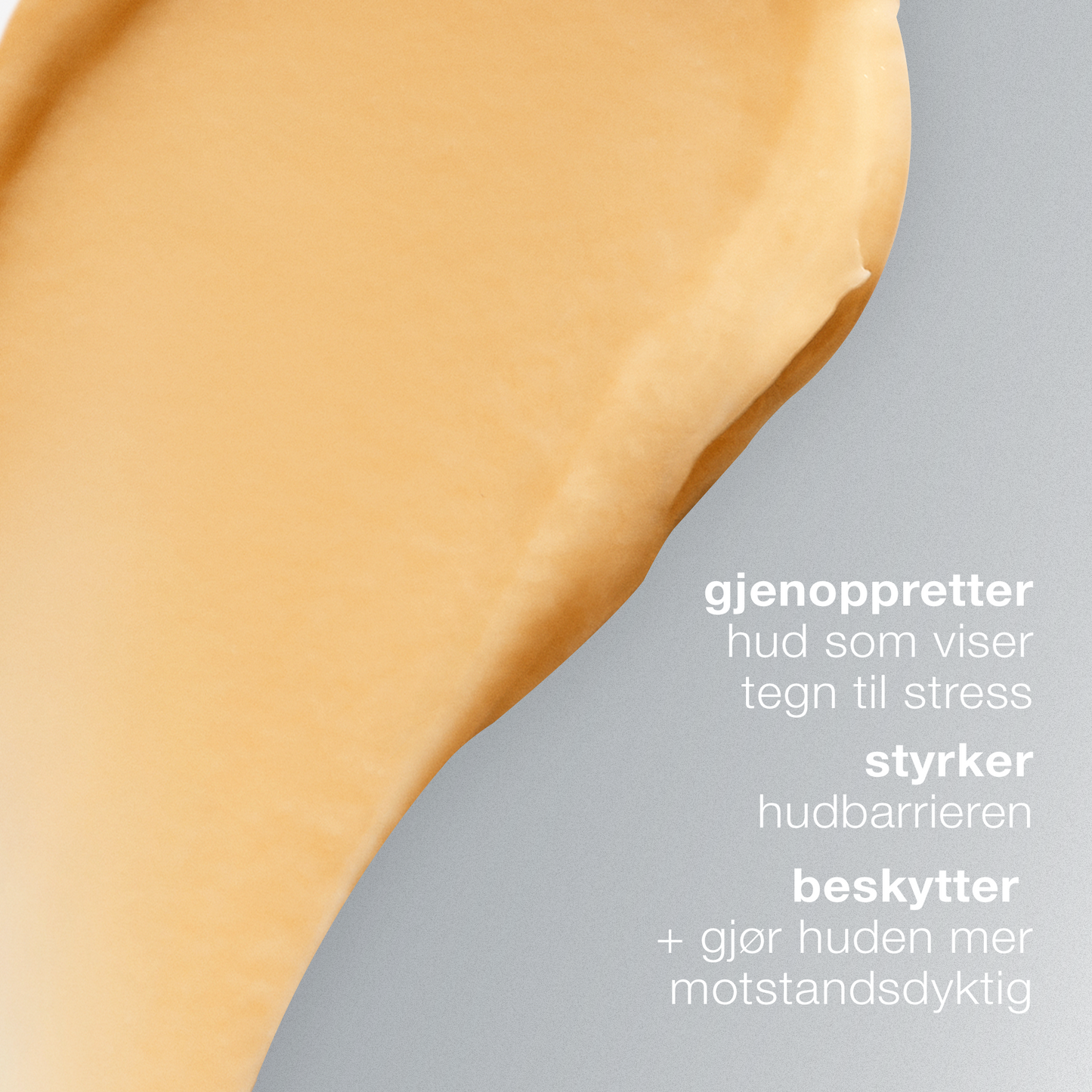 reisestørrelse multivitamin power recovery masque