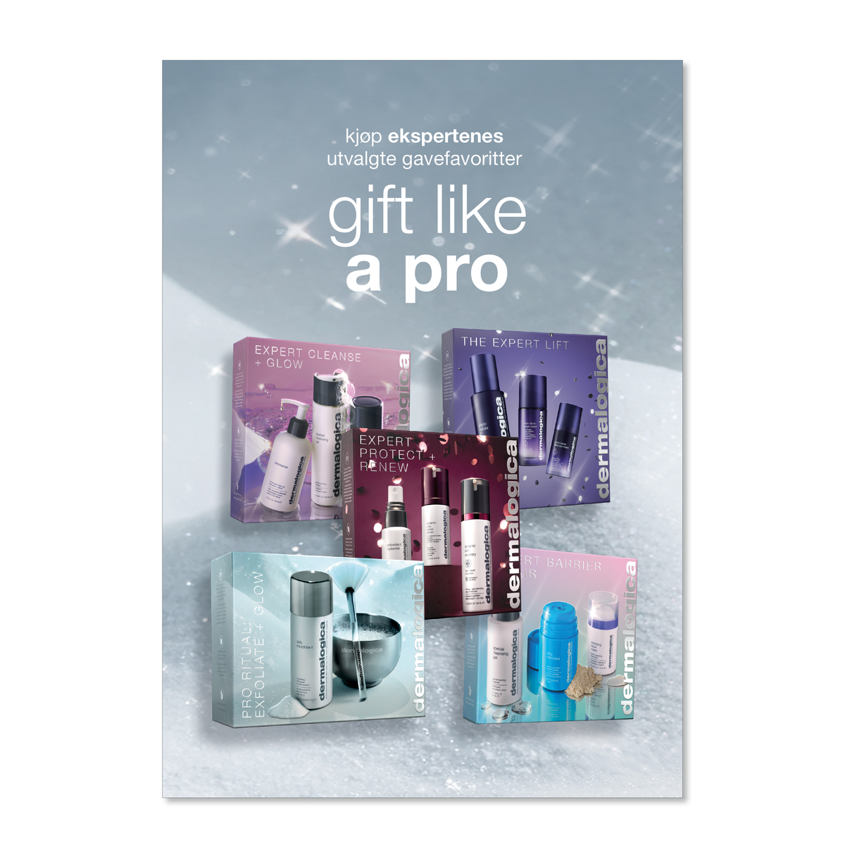 DISK - HOLIDAY 2026 GIFT LIKE A PRO