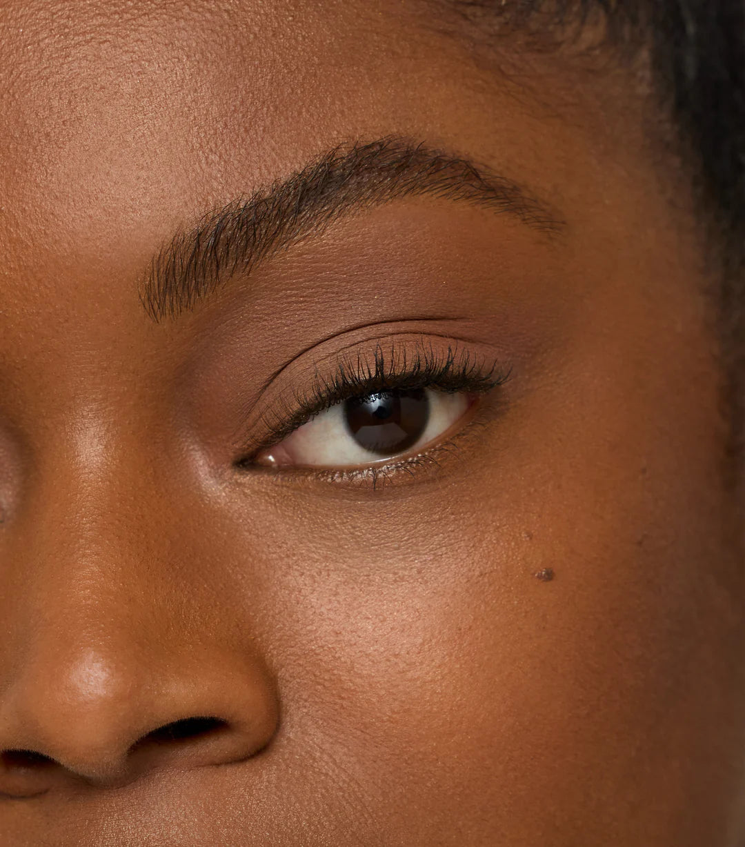 ColorLuxe Eye Shadow Stick