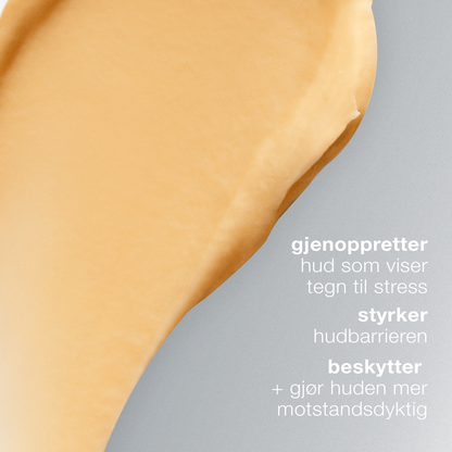 reisestørrelse multivitamin power recovery masque