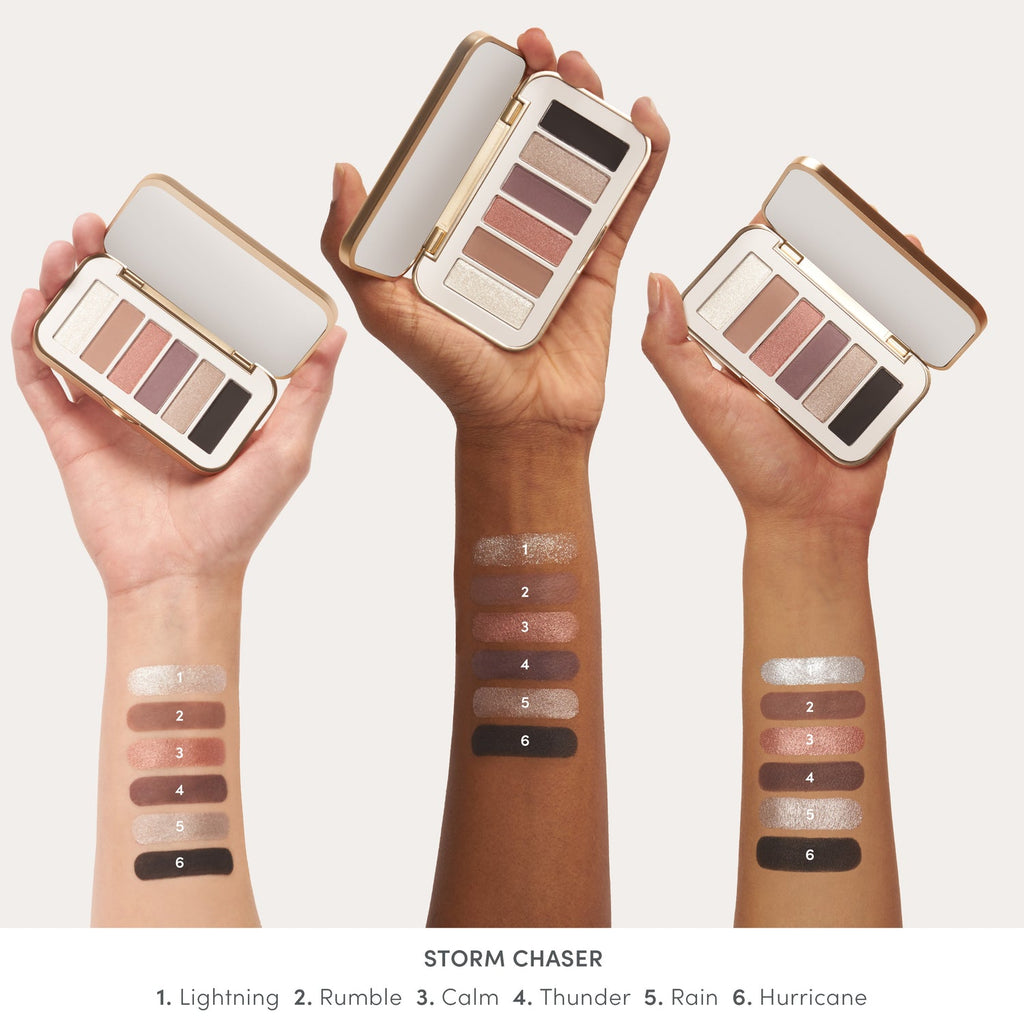 jane iredale PurePressed Eye Shadow Palette Storm Chaser arm swatches
